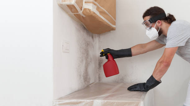 Attic Mold Remediation treatment on roof deck in Arlington